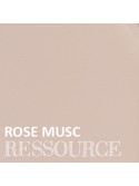 Muette Rose Musc